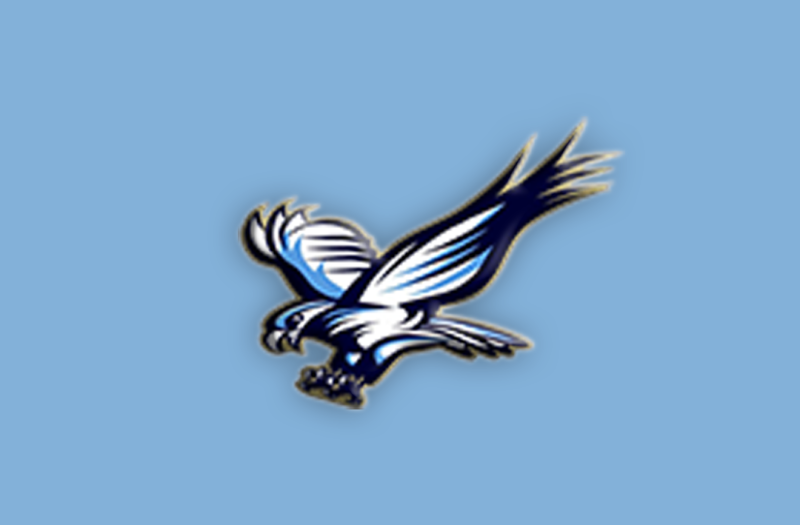 6A: Liberty Falcons &#8211; 2025-26 Season Preview