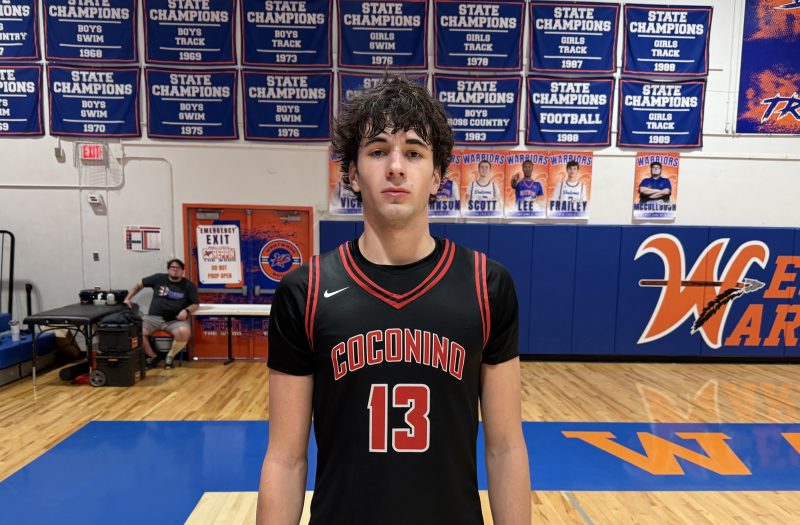 Holiday Hoops Small Forward Standouts