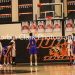 Javin Stegg