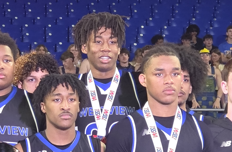 2026 Rankings Update: Top Newcomers