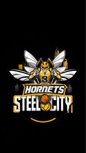 SteelCity Hornets