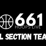 All-Section Teams: 3rd Team All-Section and Honorable Mention