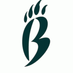 Brashier Middle College