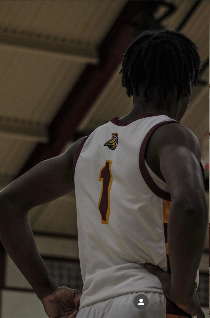 Gavin Cook Whisenton