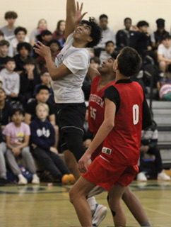 Noah Quezada