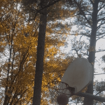 Le’shad Williams