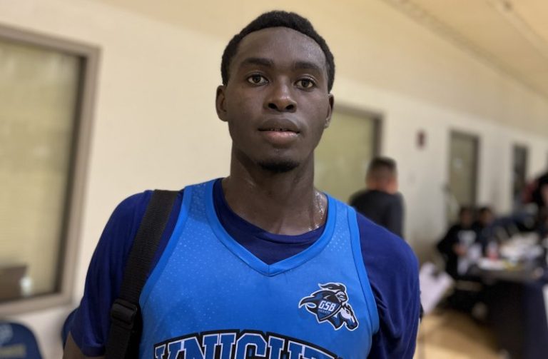 Metro Hoops Preseason Invitational: 2026 wing/forward standouts